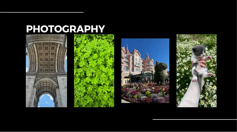 Güzel Sanatlar Portfolyo Hazırlık Kursu Örnekleri (29)